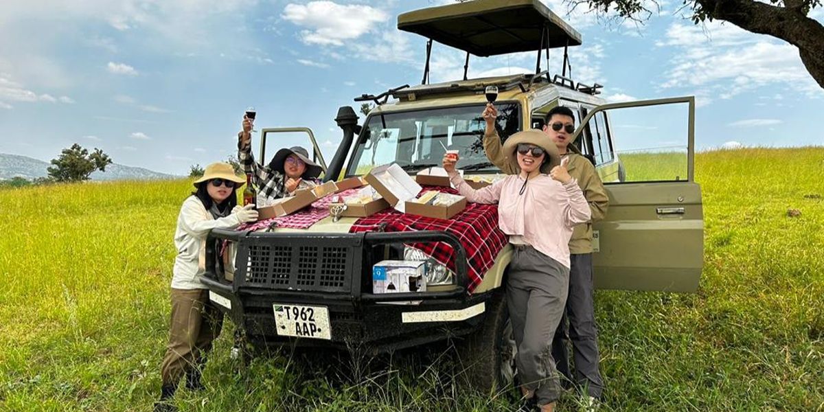 Northern Tanzania Safari