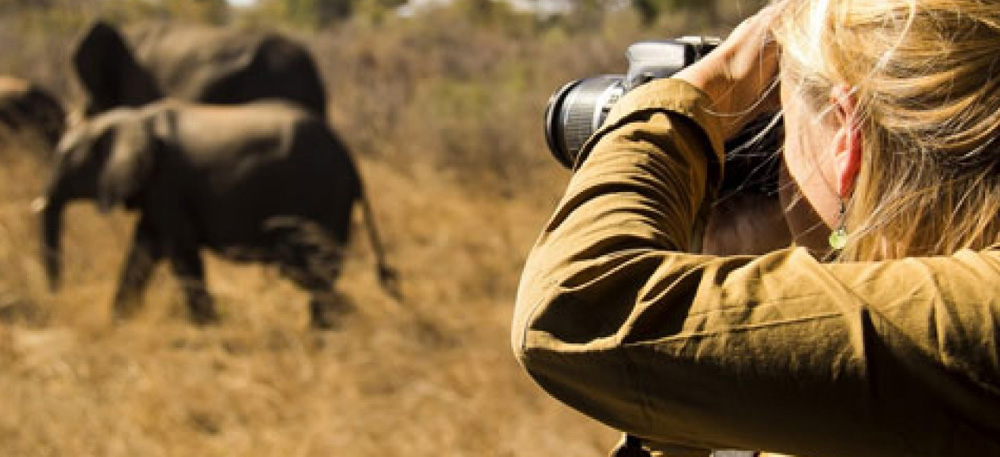 10 Days Northern Tanzania Safari