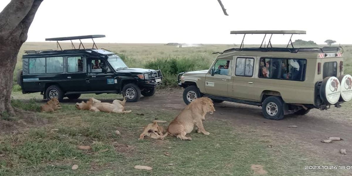 Northern Tanzania Safari
