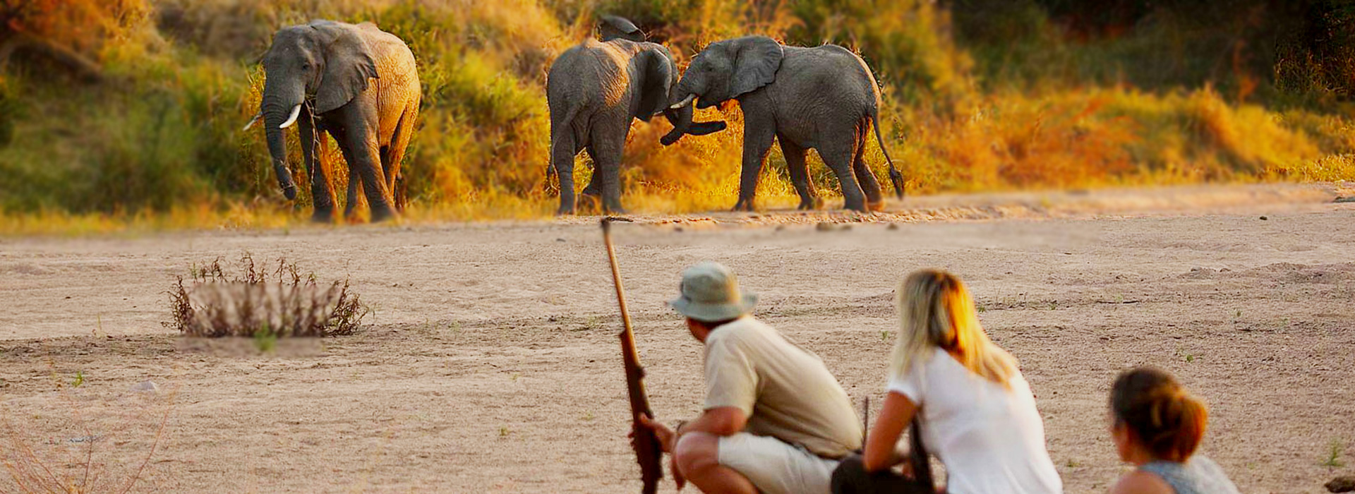 Tanzania Walking Safari