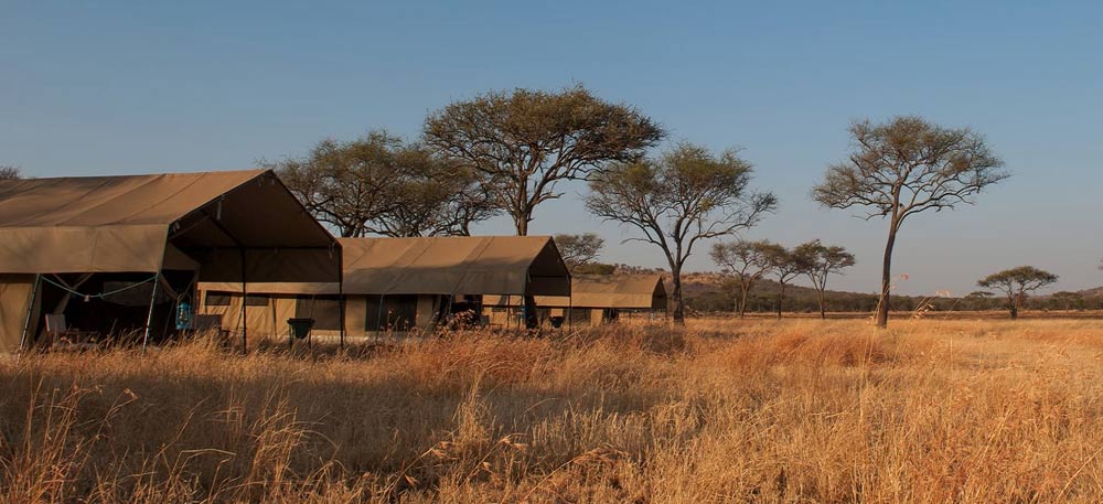 Tanzania Safari Special Package