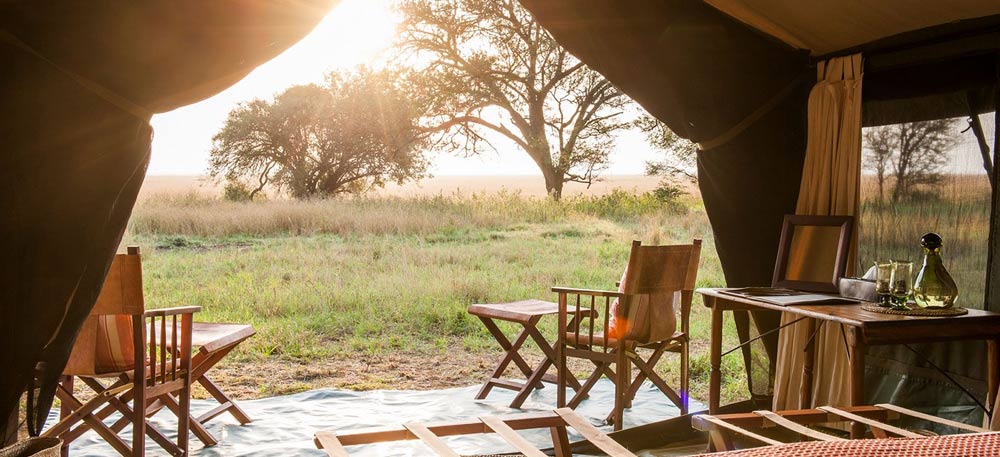 Tanzania Safari Special Package