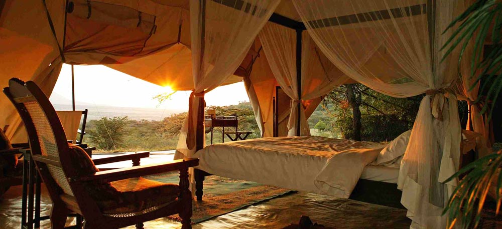 Tanzania Safari Special Package