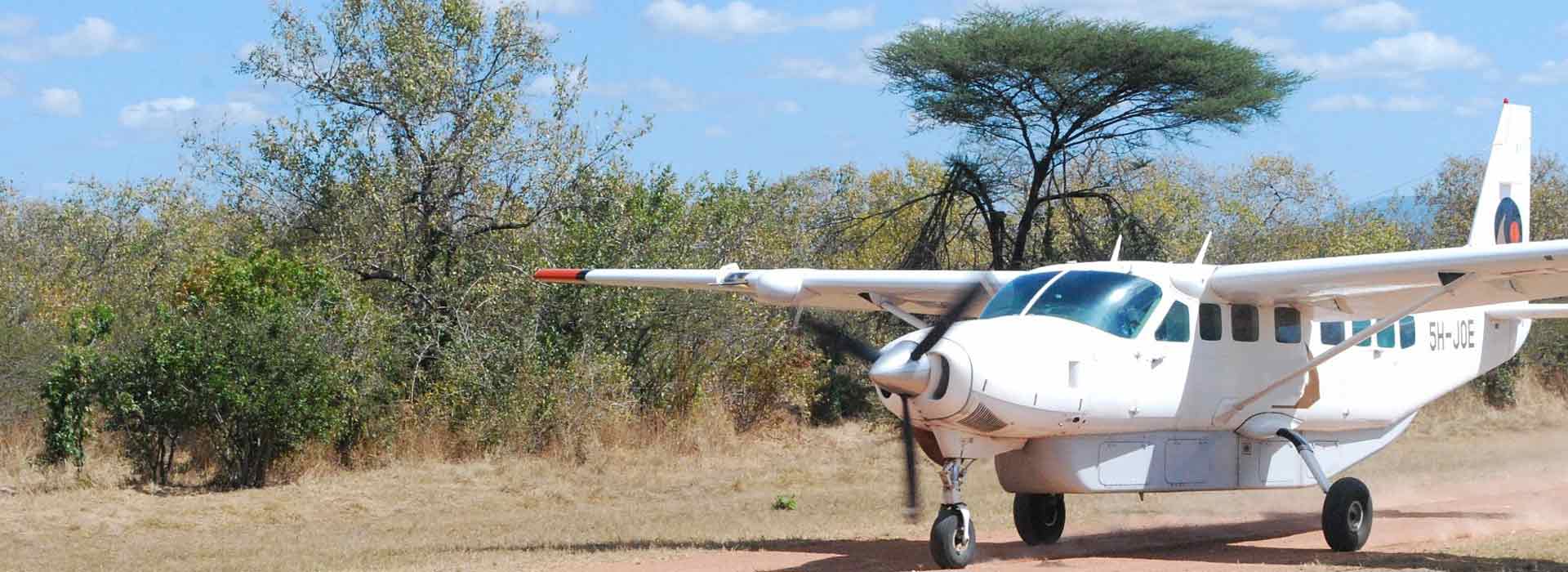 Fly In Safari From Zanzibar