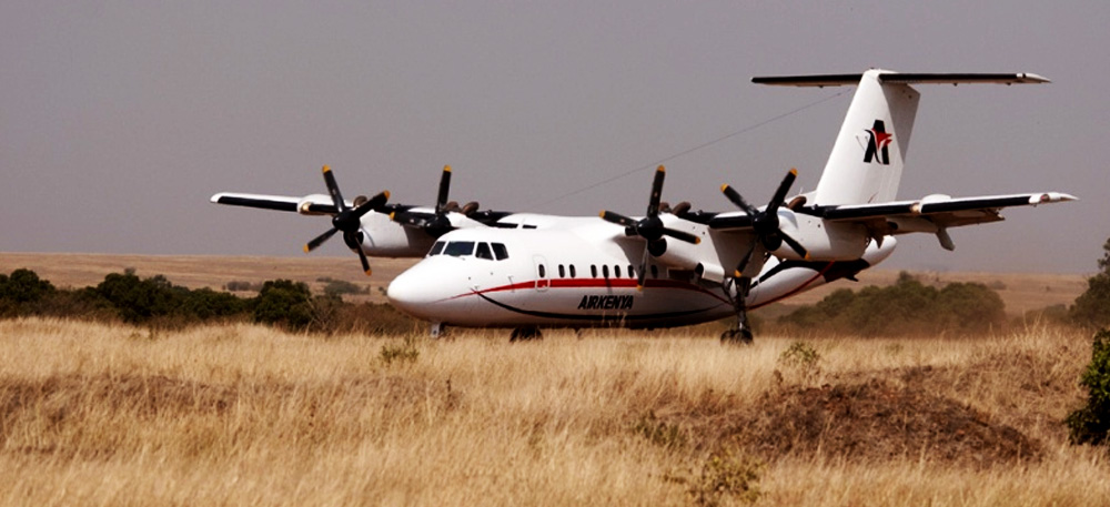 TFly In Safari From Zanzibar