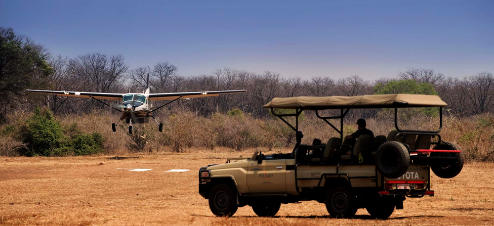 TFly In Safari From Zanzibar