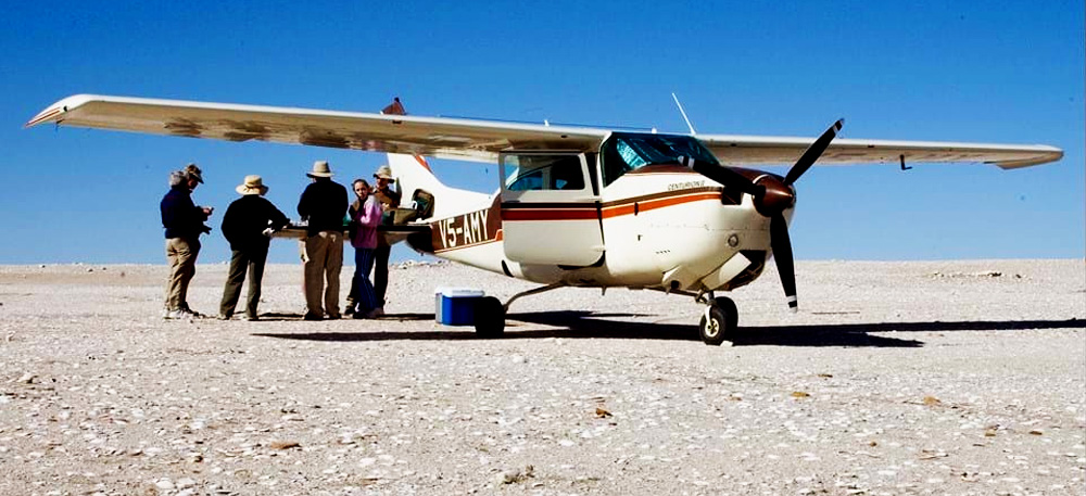 Fly In Safari From Zanzibar