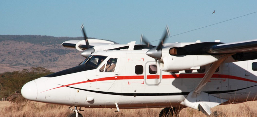 Fly-In Safari to Serengeti National Park