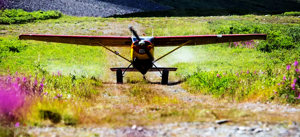 Fly-In Safari to Serengeti National Park