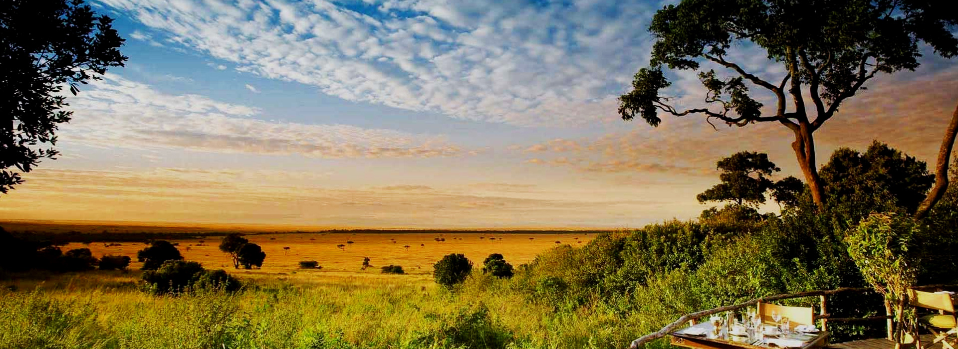 Tanzania Lodge Safari Arusha & Tarangire