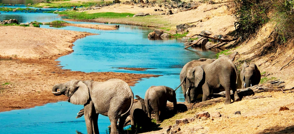 Tanzania Camping Safari