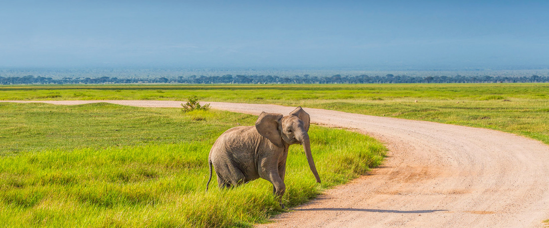 Northern Tanzania Safari