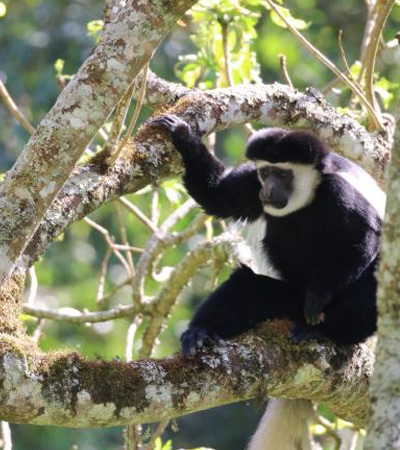 Arusha Day Trip