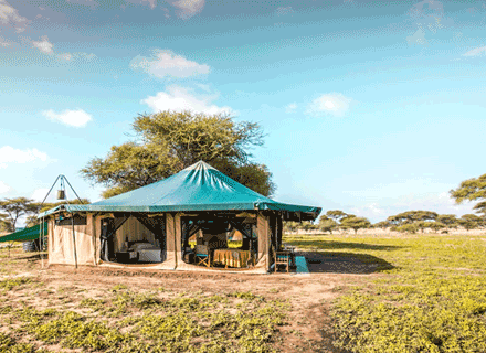 Corfield Camp Tarangire