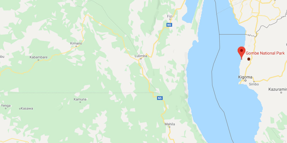 Gombe Stream National Park