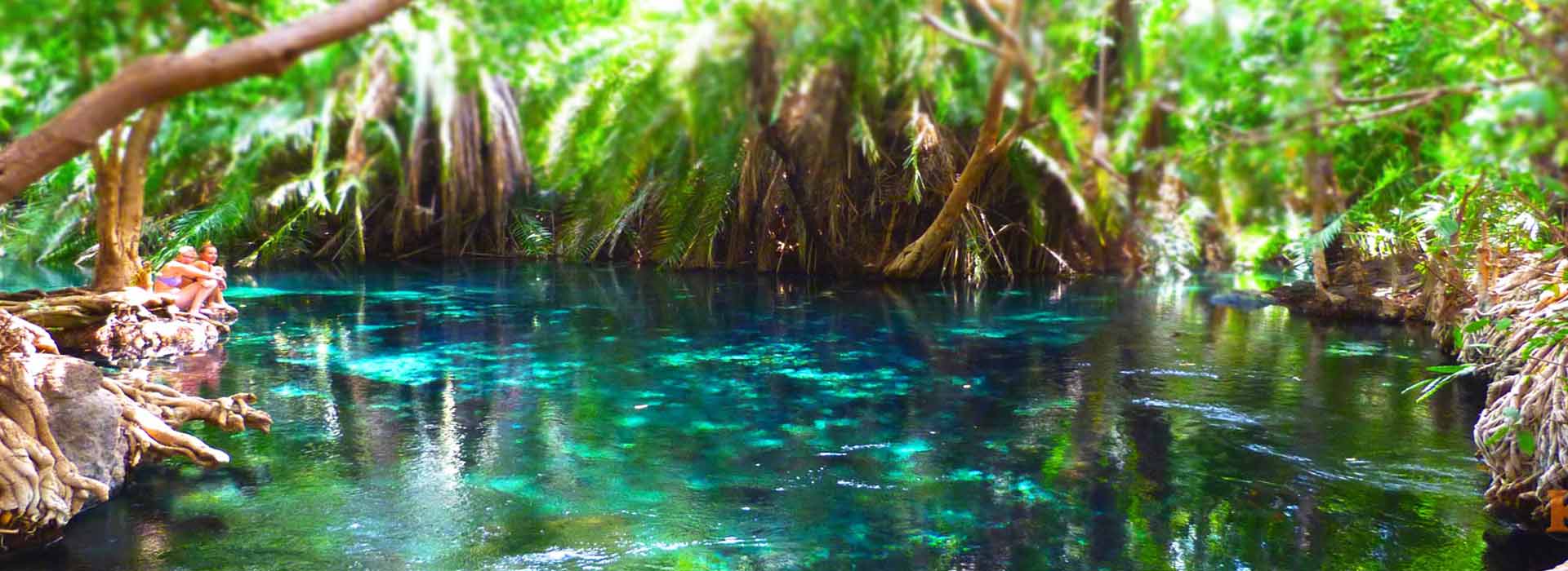Kikuletwa Hot Springs