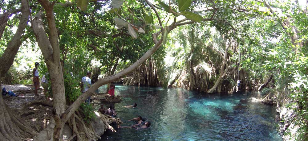 Tarangire Day Trip