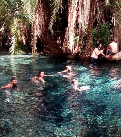 Kikuletwa Hot Springs