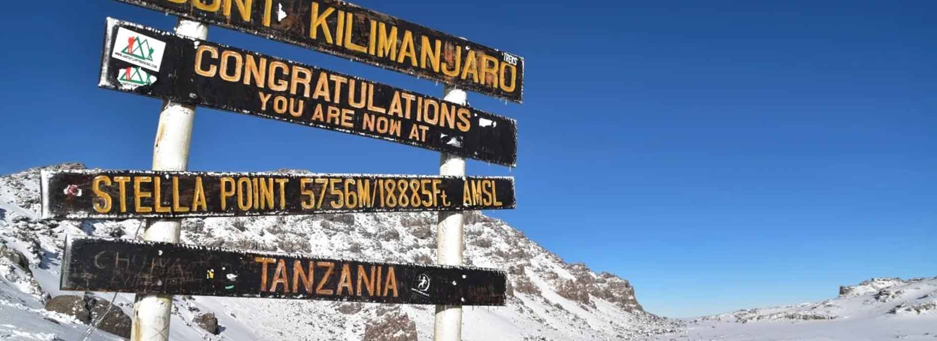Kilimanjaro Day Trip