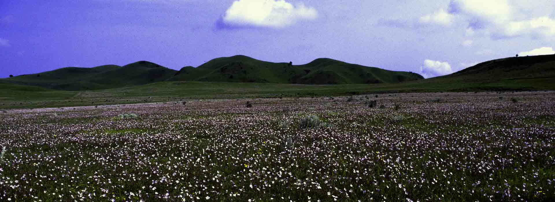 Kitulo National Park