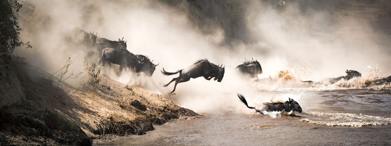 Northern Tanzania Safari