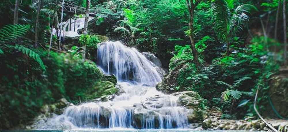 Tarangire Day Trip