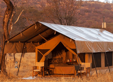 Ndutu Safari Lodge