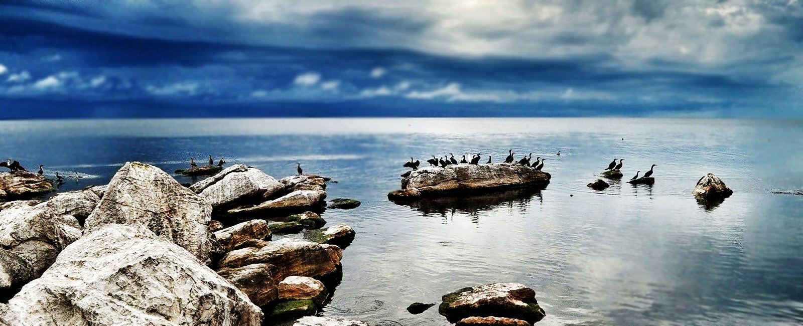 Rubondo Island National Park