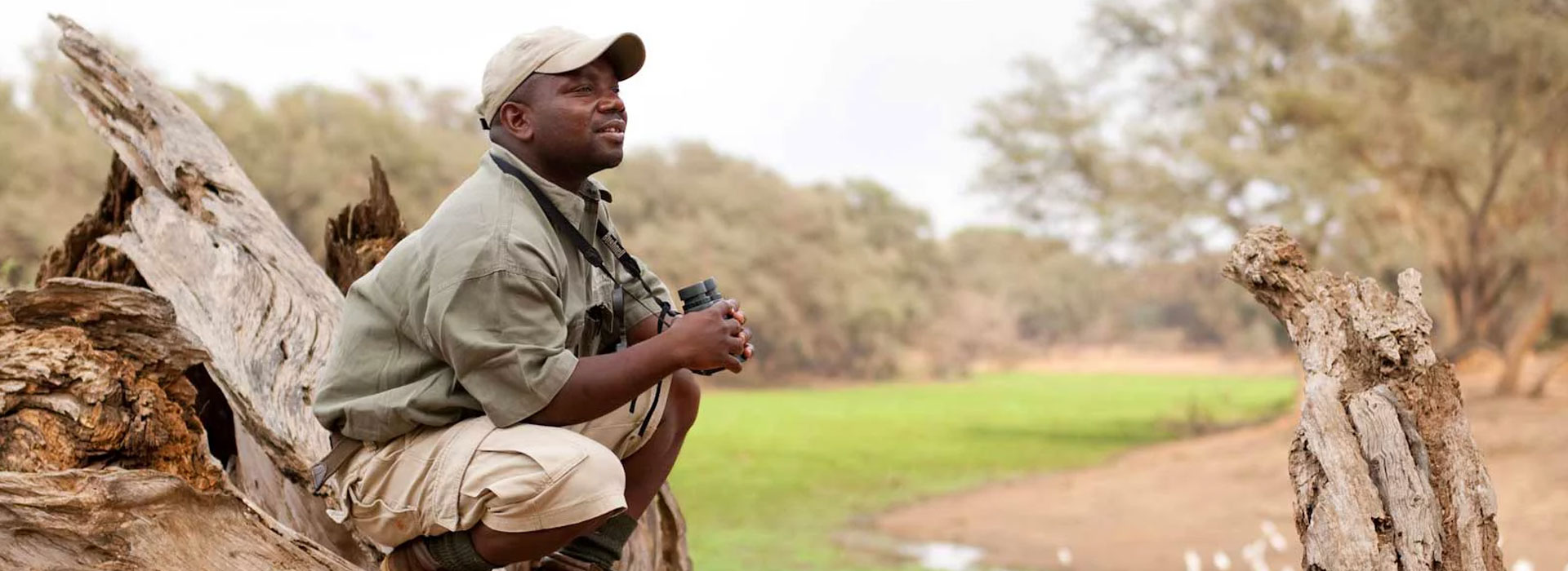Safari Guide
