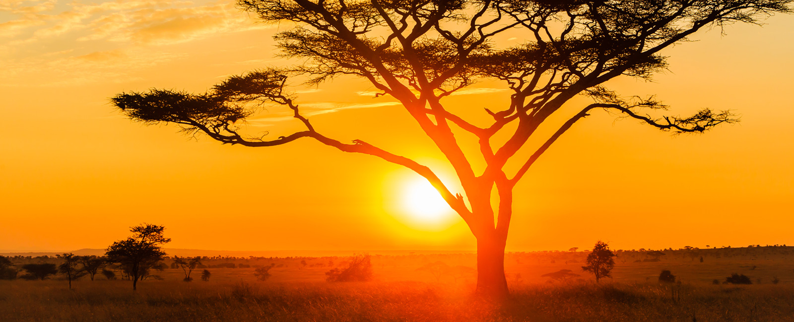 Northern Tanzania Safari