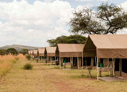 Serengeti Kati Kati Camp