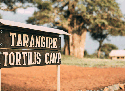Tarangire Tortilis Camp