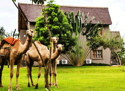 Gold Crest Hotel