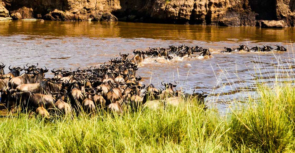 Northern Tanzania Safari