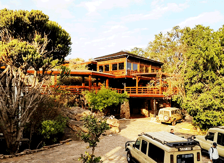 Wildlife Lodge